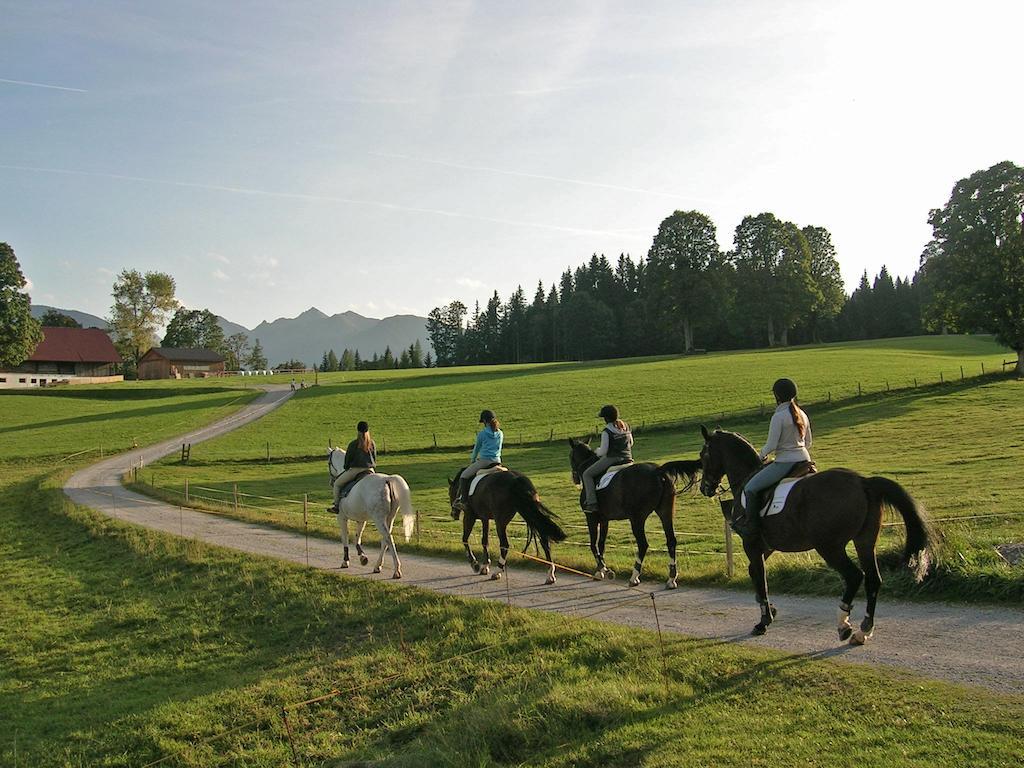 Appartements Lärchmoos Ramsau am Dachstein Exterior foto