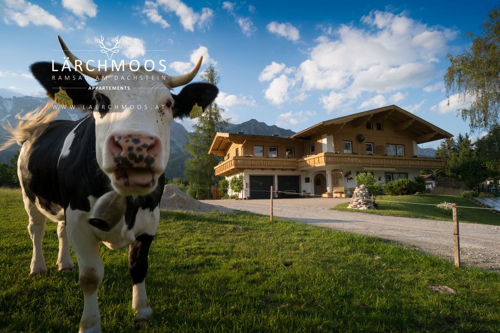 Appartements Lärchmoos Ramsau am Dachstein Exterior foto